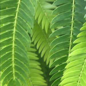 Meet your Posher, Luisa f